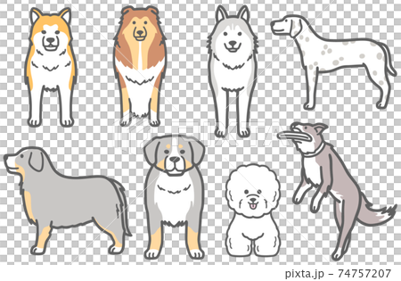 シベリアンハスキーなどの犬のイラスト シベリアンハスキーなどの犬のイラスト 74757207