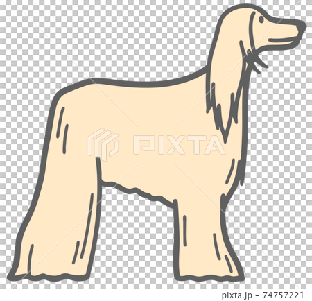 側身阿富汗獵犬圖 74757221
