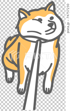 柴犬の帰宅拒否犬のイラスト 柴犬の帰宅拒否犬のイラスト 74757230