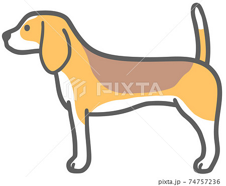 横向きのビーグル犬のイラストのイラスト素材