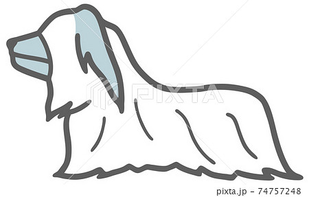 横向きのスカイテリアの犬のイラストのイラスト素材