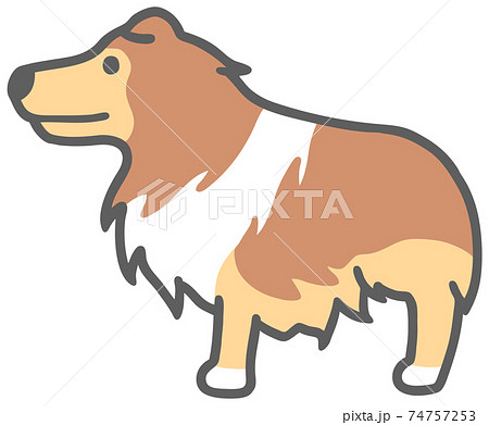 横向きのコリー犬のイラスト 横向きのコリー犬のイラスト 74757253