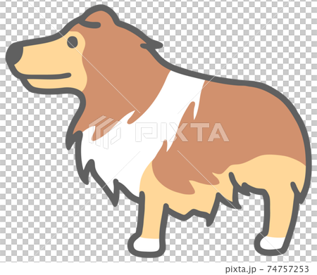 横向きのコリー犬のイラストのイラスト素材