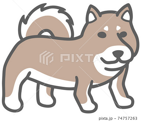 横向きの黒い柴犬のイラストのイラスト素材