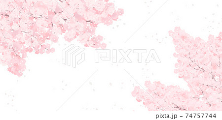 満開の桜のイラスト_春のイメージの背景素材 74757744