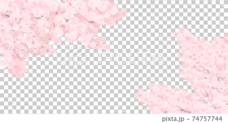 満開の桜のイラスト_春のイメージの背景素材 74757744