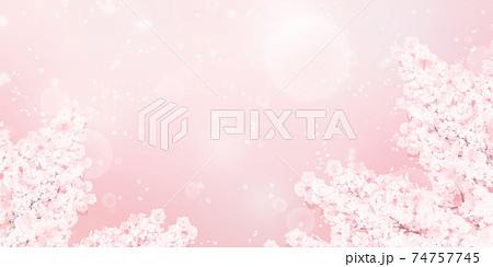 満開の桜のイラスト_春のイメージの背景素材 74757745