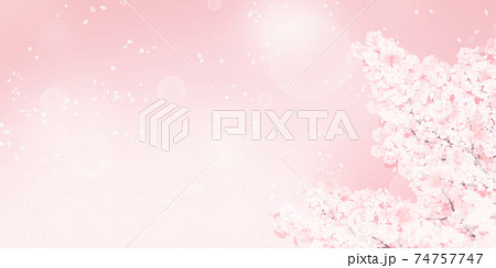 満開の桜のイラスト_春のイメージの背景素材 74757747