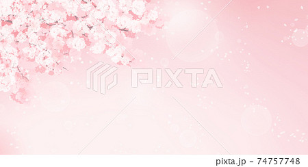 満開の桜のイラスト 春のイメージの背景素材のイラスト素材