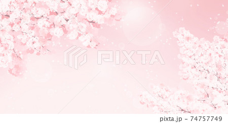 満開の桜のイラスト_春のイメージの背景素材 74757749