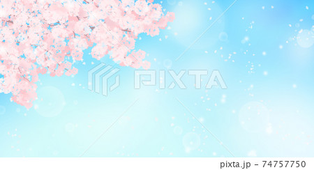 満開の桜と青空のイラスト_春のイメージの背景素材 74757750