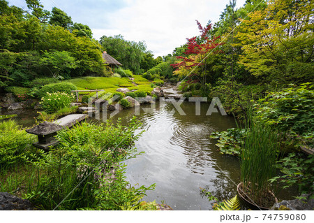 妙心寺退蔵院の日本庭園 74759080