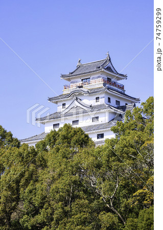 佐賀県唐津市の美しい唐津城 佐賀県唐津市の美しい唐津城 74759299