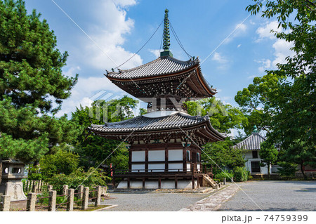 本法寺多宝塔と経蔵 本法寺多宝塔と経蔵 74759399