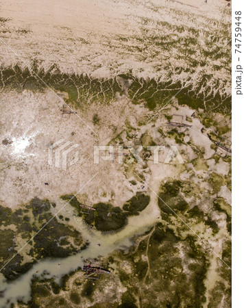 Aerial shot of Underwater seagrass Sea weed on a Low Tide. Sea Bottom Surface Overgrown With Sea Weed in Jambiani, Zanzibar, Tanzania 74759448