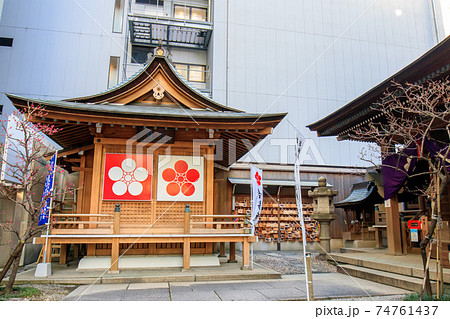 名古屋市　桜天神社と梅の花 74761437
