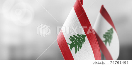 Small national flags of the Lebanon on a light blurry background 74761495