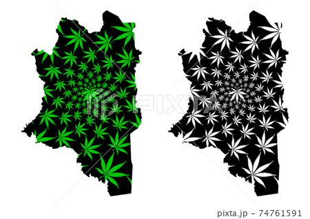 Montagnes District (Ivory Coast, Republic of Cote dIvoire) map is designed cannabis leaf green and black, Montagnes map made of marijuana (marihuana,THC) foliage.... Montagnes District (Ivory Coast, Republic of Cote dIvoire) map is designed cannabis leaf green and black, Montagnes map made of marijuana (marihuana,THC) foliage.... 74761591