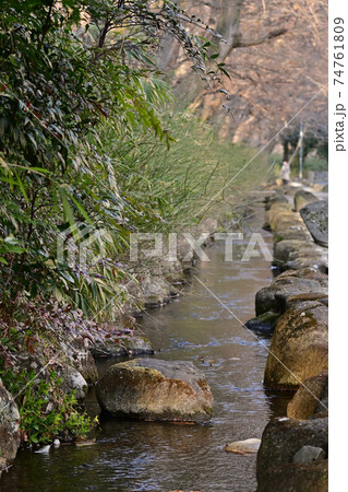 夕方の小川 74761809