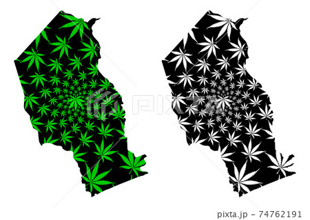 Gaza Province (Provinces of Mozambique, Republic of Mozambique) map is designed cannabis leaf green and black, Gaza map made of marijuana (marihuana,THC) foliage.... Gaza Province (Provinces of Mozambique, Republic of Mozambique) map is designed cannabis leaf green and black, Gaza map made of marijuana (marihuana,THC) foliage.... 74762191