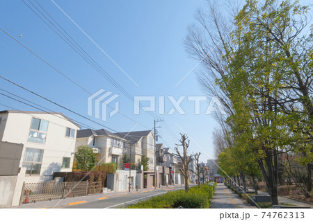 都市風景 閑静な住宅街 東京都目黒区 都市風景 閑静な住宅街 東京都目黒区 74762313
