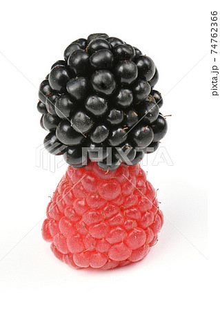 Ripe blackberry and raspberry Ripe blackberry and raspberry 74762366