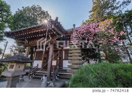 寺社仏閣 目黒八雲 常圓寺境内 東京都目黒区 寺社仏閣 目黒八雲 常圓寺境内 東京都目黒区 74762418
