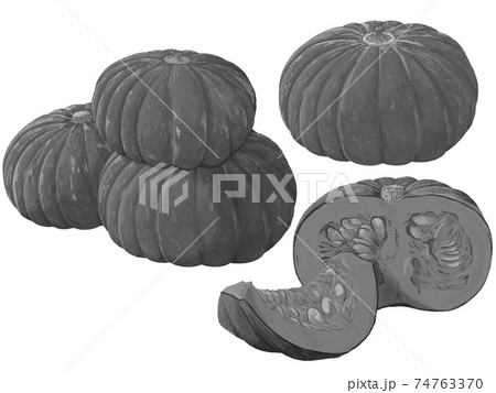 かぼちゃ関連セット 白黒のイラスト素材