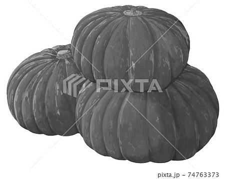 かぼちゃ 複数 白黒のイラスト素材