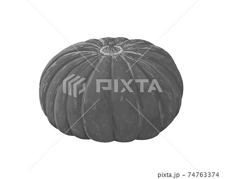 かぼちゃ 単品 白黒のイラスト素材