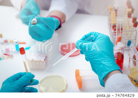 Scientist examining solution in petri dish at a laboratory. Doctor examines coronavirus test on petri dish in hospital. 74764829