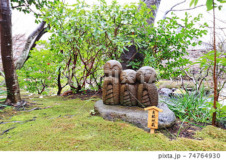 長谷寺 長谷観音 鎌倉 74764930