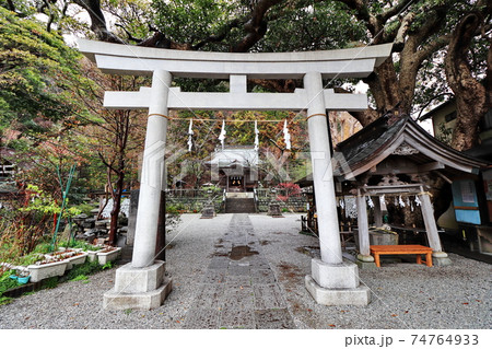 鎌倉 かまくら 神宮 74764933