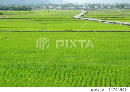 景色 風景 水田 74764991