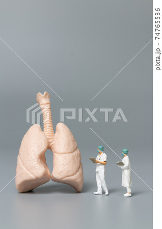 Miniature people doctor and nurse observing and discussing about human lungs 74765536