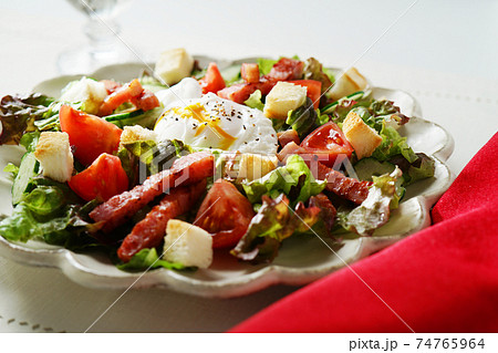 リヨン風サラダ 74765964