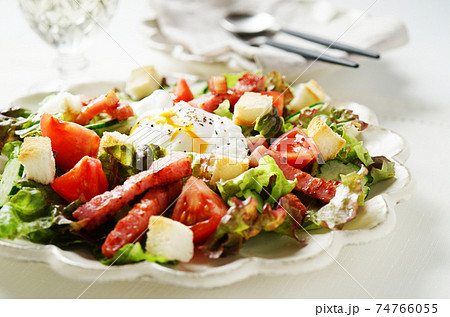 リヨン風サラダ 74766055