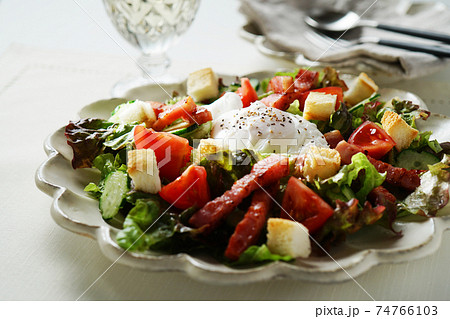 リヨン風サラダ 74766103