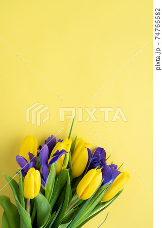 Bouquet of yellow tulips and irises Bouquet of yellow tulips and irises 74766682