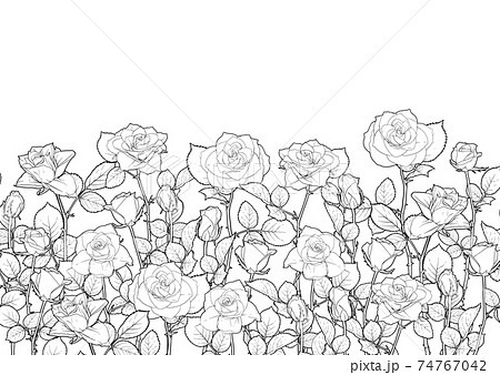 Seamless pattern with roses flowers.  74767042