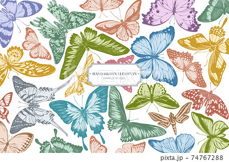 Design with pastel colored great orange-tip, emerald swallowtail, jungle queens, plain tiger, rajah 74767288