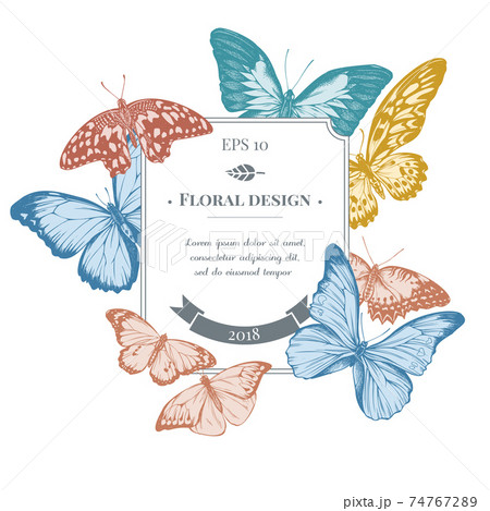 Badge design with pastel blue emperor, menelaus blue morpho, blue morpho, red lacewing, african 74767289