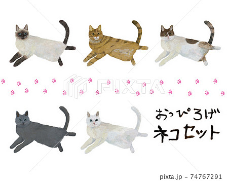 おっぴろげ猫セット おっぴろげ猫セット 74767291