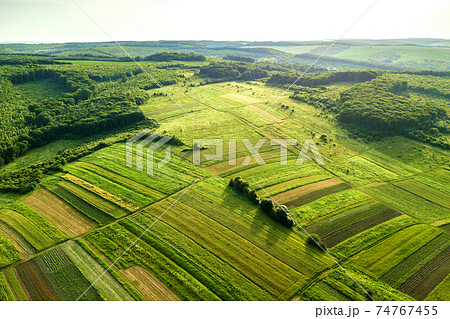 Aerial view of green agricultural fields in spring with fresh vegetation after seeding season on a warm sunny day. 74767455