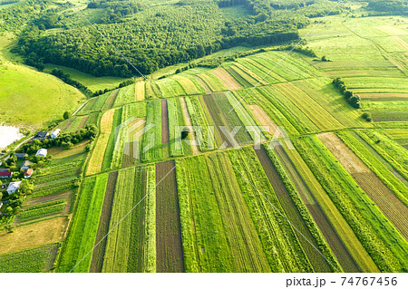 Aerial view of green agricultural fields in spring with fresh vegetation after seeding season on a warm sunny day. 74767456