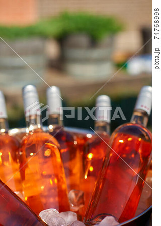 Bottles of pink wine in a bucket of ice on the table. Bottles of pink wine in a bucket of ice on the table. 74768998