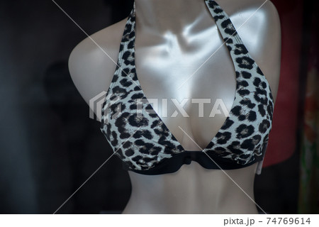 Closeup of printed leopard bra on mannequin in - Stock Photo [74769614]  - PIXTA