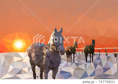 The horses in the corral walk sunset or sunrise The horses in the corral walk sunset or sunrise 74770831