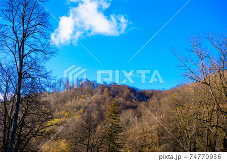 Autumn forest, deciduous autumn forest, top view of nature and its beauty. Autumn forest, deciduous autumn forest, top view of nature and its beauty. 74770936