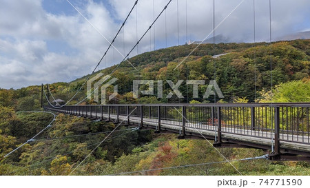 那須高原 つつじ吊橋 那須高原 つつじ吊橋 74771590